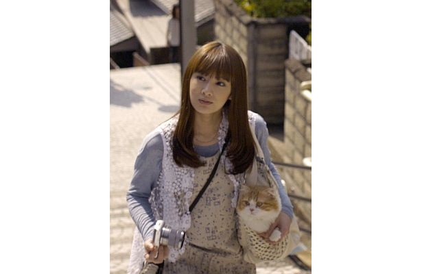 猫と“二人旅”(？)をするキュートな北川景子さん！
