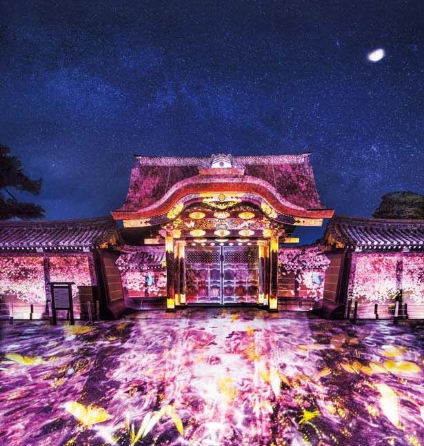 今年見るべき夜桜ライトアップはココ 京都の人気イベント スポット5選 ウォーカープラス