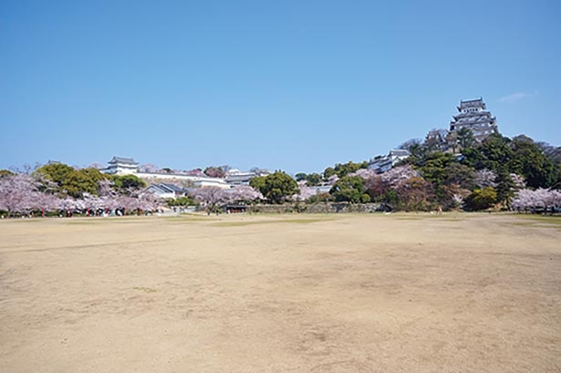 姫路城のお花見スポットを徹底ガイド ベストルート丸わかり ウォーカープラス