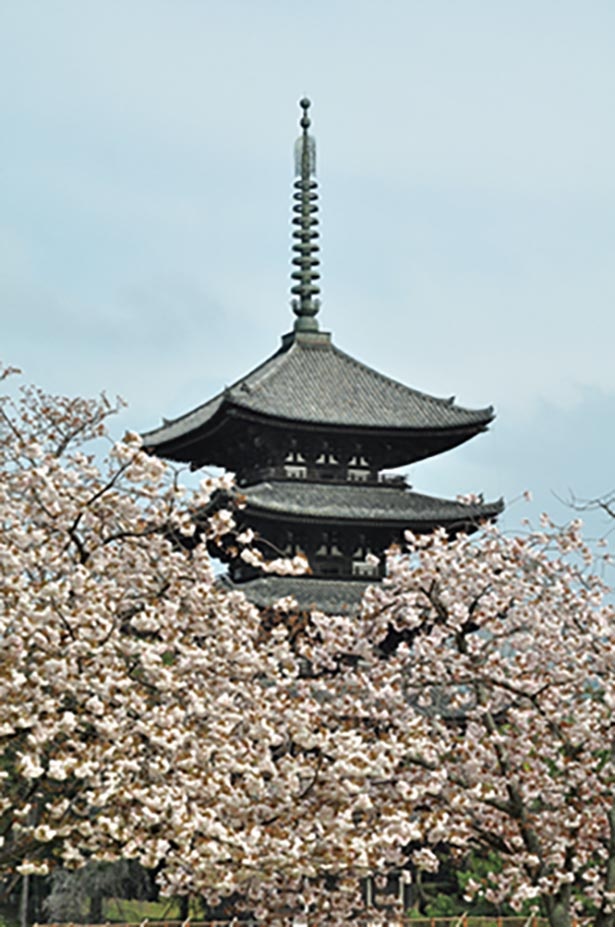 いにしえの日本文化を伝える「興福寺」