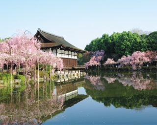 のんびり散策しながら道沿いの桜をめでる！岡崎～哲学の道で桜を楽しむスポット5選
