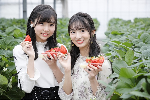 イチゴ大好きな、SKE48 研究生の平野百菜（左）と藤本冬香（右）。「つい最近、家族でイチゴ狩りに行ったばかりなんです！」（平野）