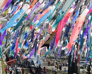 大量の鯉のぼりが泳ぐ「鯉のぼり祭り」が熊本県小国町で開催