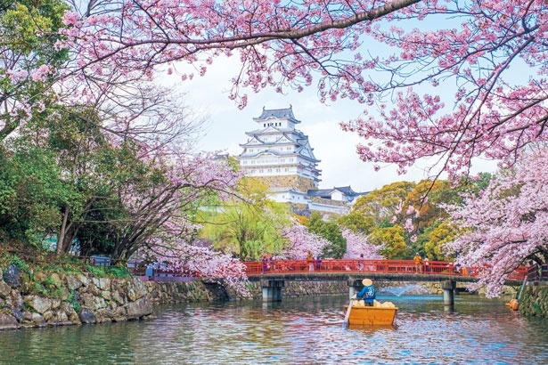 画像2 15 春の姫路城の絶景を 兵庫 姫路城と周辺の立ち寄りスポットを紹介 ウォーカープラス