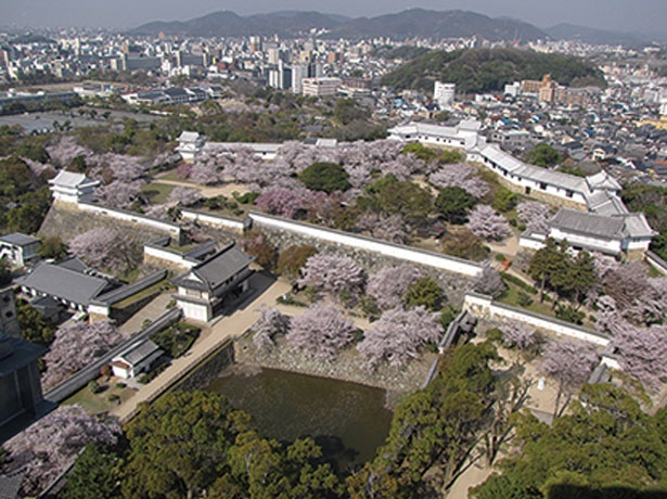 大天守からは、二の丸＆三の丸広場で咲き誇る桜や市街地を一望できる/姫路城