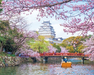 春の姫路城の絶景を！兵庫・姫路城と周辺の立ち寄りスポットを紹介