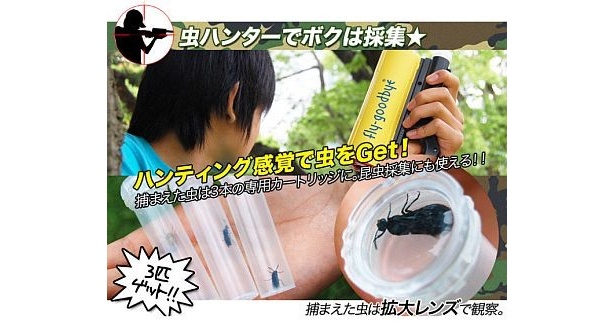 子どもは昆虫採集に