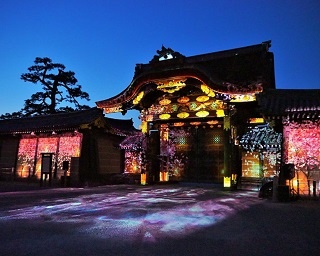 夜桜と光のアートが生み出す幻想世界が京都に出現！『FLOWERS BY NAKED 2020 ―桜―世界遺産・二条城』開催