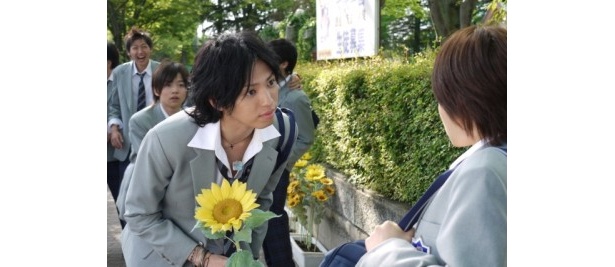 ひまわりの一輪挿しと難波
