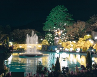 光と音の饗宴！神奈川県箱根町で「スプリングナイトガーデン2020」開催中