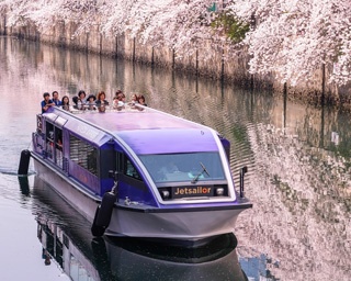 まだ間に合う！神奈川県横浜市で「春爛漫・横浜大岡川お花見クルーズ2020」実施中
