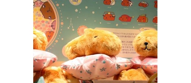 寝ているカピバラさんはレア！