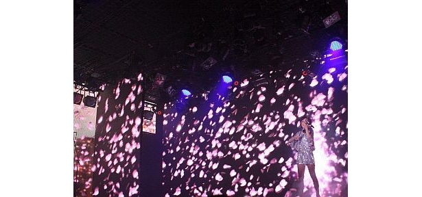 ライブでは、全ての壁面で桜吹雪が舞う豪華な演出が行われた