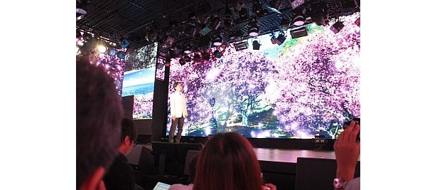 LEDモニターを駆使し、桜を全ての壁面に映し出した