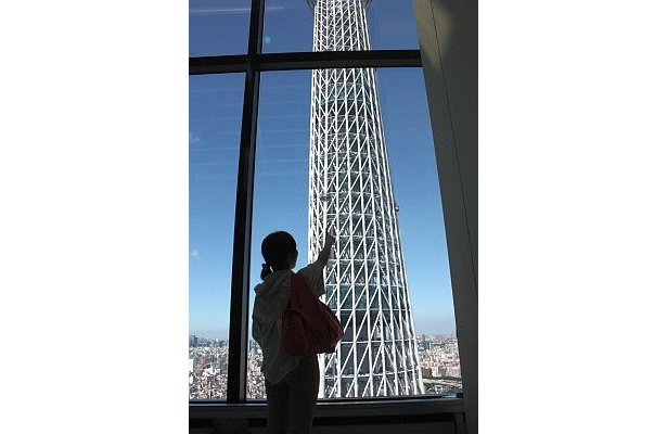 イーストタワーから見る東京スカイツリー(R)！