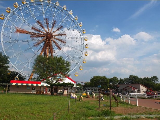 東武動物公園の楽しみ方をガイド 一日遊べるハイブリッドレジャーランド 画像4 18 夏イベント満載 夏休み ウォーカープラス