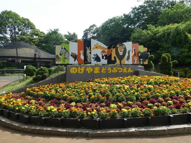 入園するとすぐ、動物たちをかたどったトピアリーやカラフルな看板、季節を感じる花壇がお出迎え