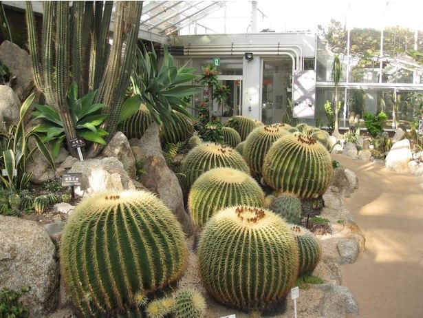 福岡市動植物園のおすすめ攻略ガイド 約110種の動物 2600種以上の植物を楽しむ 画像9 13 夏イベント満載 夏休み ウォーカープラス