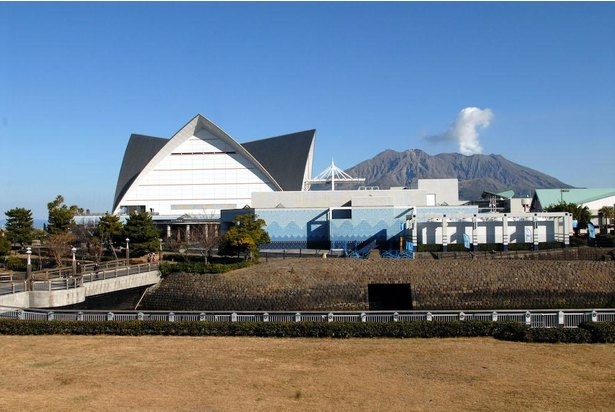 いおワールドかごしま水族館の背景に見えるのは鹿児島のシンボル・桜島