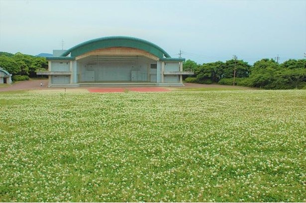 春には野外音楽堂周辺にシロツメクサが一面に咲き誇り美しい