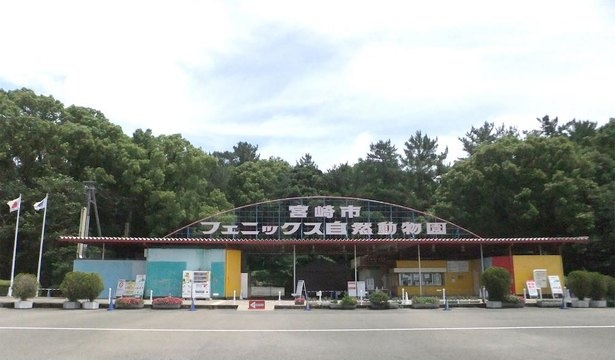 動物園&遊園地で丸一日楽しめる宮崎市フェニックス自然動物園。2020年6月現在、県内在住者のみ公開中