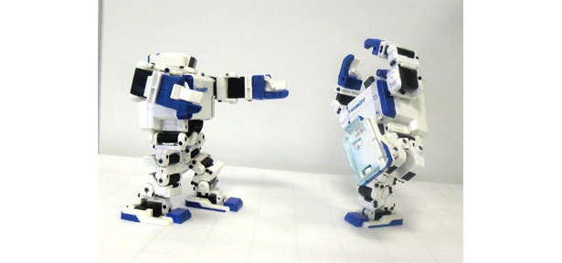 「今年のロボット」大賞2008を受賞