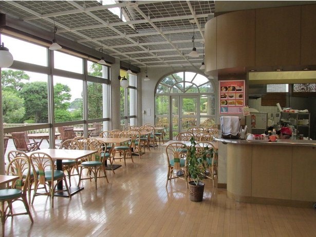 「夢花館」内のカフェでは庭園を眺めながら軽食が楽しめる