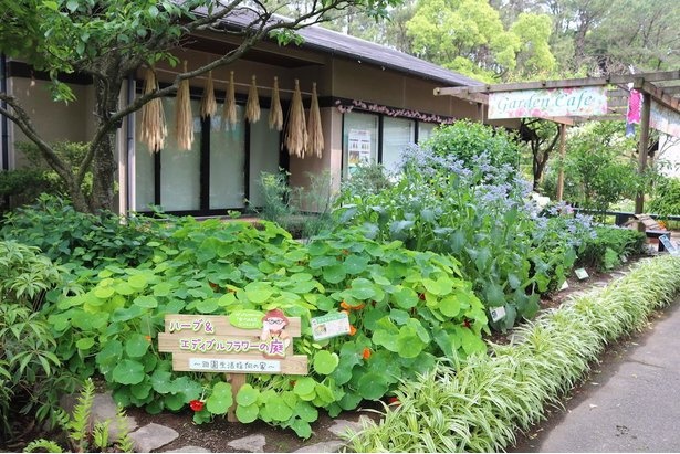 旬の野菜やハーブ、果樹などを取り入れた「田園生活指向の庭」