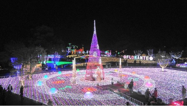 毎年12月上旬~1月中旬には「イルミネーション・フラワー・ガーデン~ひかりのはなぞの~」を実施