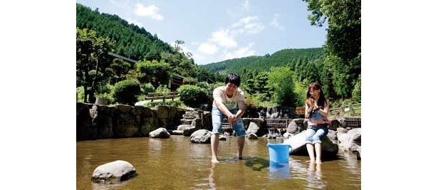 関西ウォーカー16号「ひんやりドライブ」特集39ページ掲載「あまご村」のお知らせ