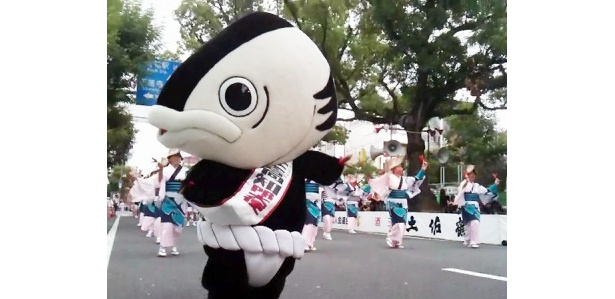 よさこい祭りに参加して、華麗な踊りを披露！