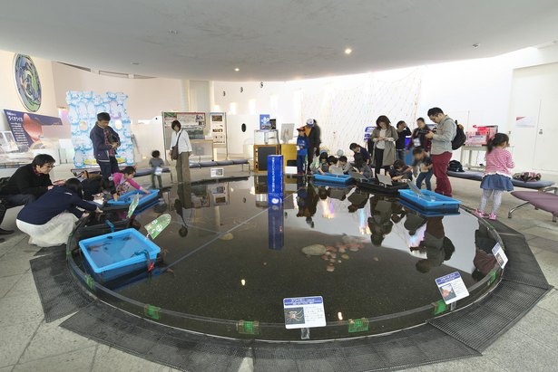 冷たい深層水に棲む生き物に触ることができる「深海不思議の泉」