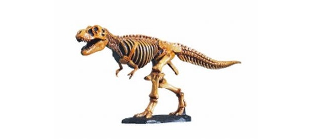 本物そっくりの動物からここでしか見られない貴重なキャラクターまで、見る者すべてを魅了させる作品の数々はまさに必見！