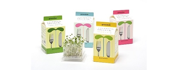 【画像】こちらは「green dish」。読んで、育てて、食べて、癒やされる！ 心を潤すかわいいグリーンたちを紹介