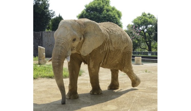 東海ウォーカー15周年×映画「ライフ」公開記念 東山動植物園＆名古屋港水族館のバックヤードツアーに無料でご招待!!