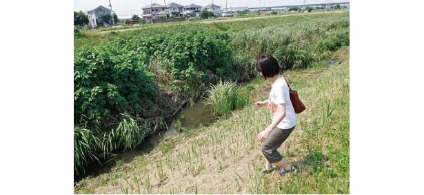 民話「かっぱどっくり」は男がかっぱから徳利をもらうと、その徳利の酒は尽きることがなかった、というお話