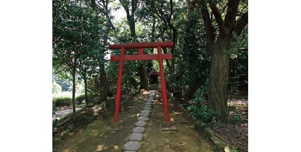 尻子玉を取られた子供がいるという旭区・自然公園内の大池