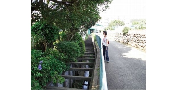 神奈川区の滝野川は情緒がある
