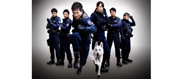 「DOG×POLICE　純白の絆」10月1日公開！