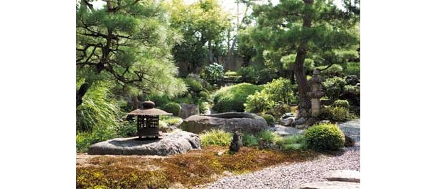 万暁院の庭園