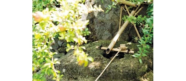 万暁院の庭園