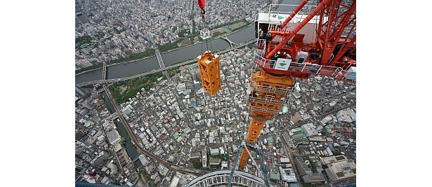 解体の様子