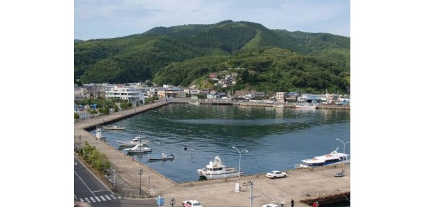 女川周辺（松宮みづほ撮影）