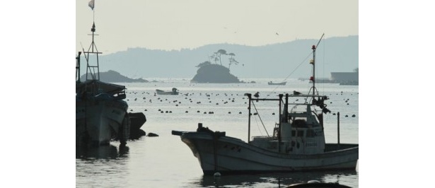 南三陸（日野敏文さん撮影）