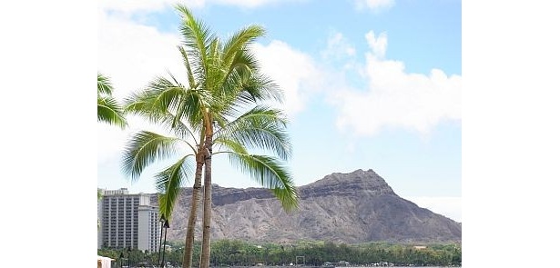 【画像】ハワイは海外旅行の王道!?