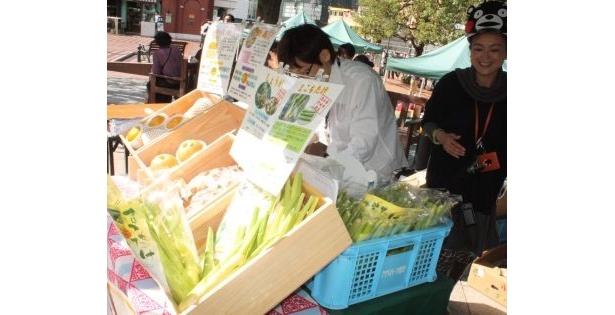 くまもとマルシェの店内