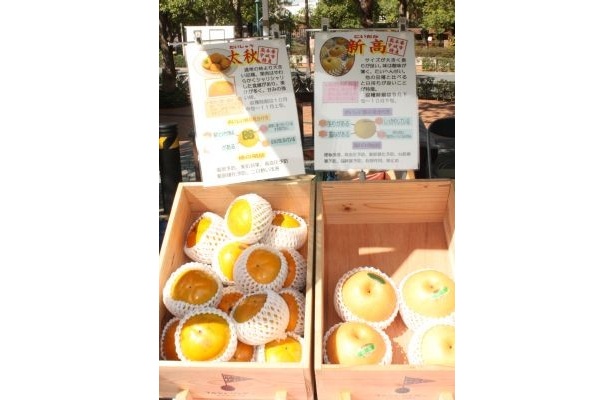 美味しそうな柿や梨！