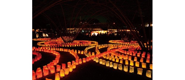 水都大阪 灯明2011