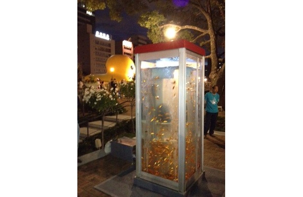 夜のテレ金