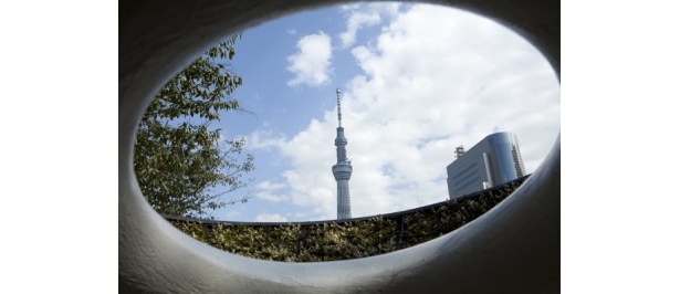 オブジェの底に空いた穴からスカイツリーを見たところ
